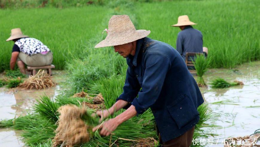 从今年,农村这类人成为唯一能退休农民,专家表示农民会支持!!