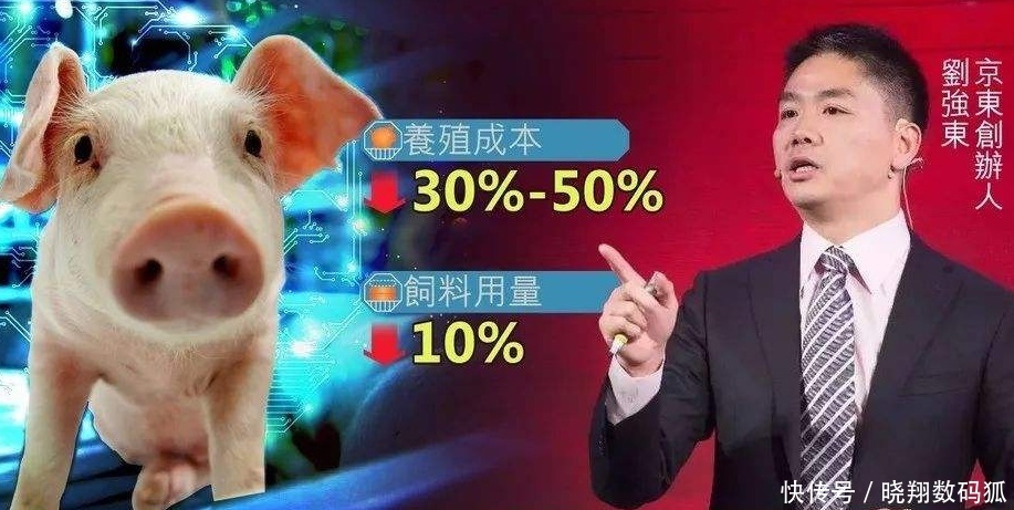 马云后刘强东也认真养猪,不是你理解的赚钱套