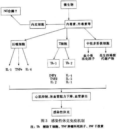 感染性休克