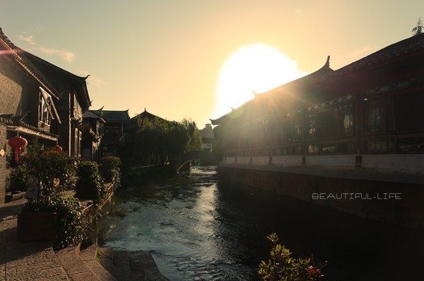 丽江只需要一个黄昏,看海棠花如何从身边飘落