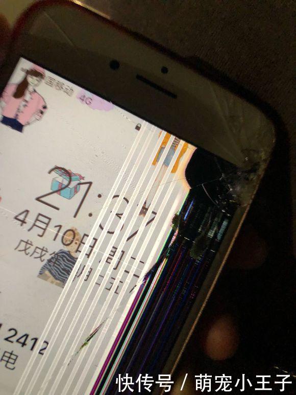 古牧咬坏手机后,害怕主人惩罚,还伪造了案发现