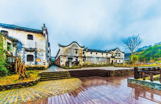 这个夏天,我们\"趣浦江\"嬉