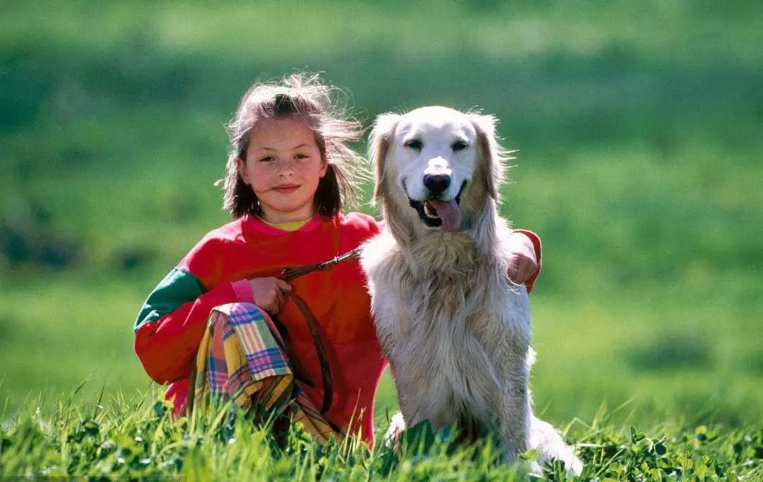 如何养狗 系列211 狗狗脐疝的诊断治疗