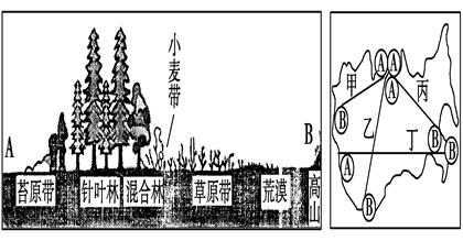 读东欧和北亚的植物和农业带分布示意图,回答小题. 1.