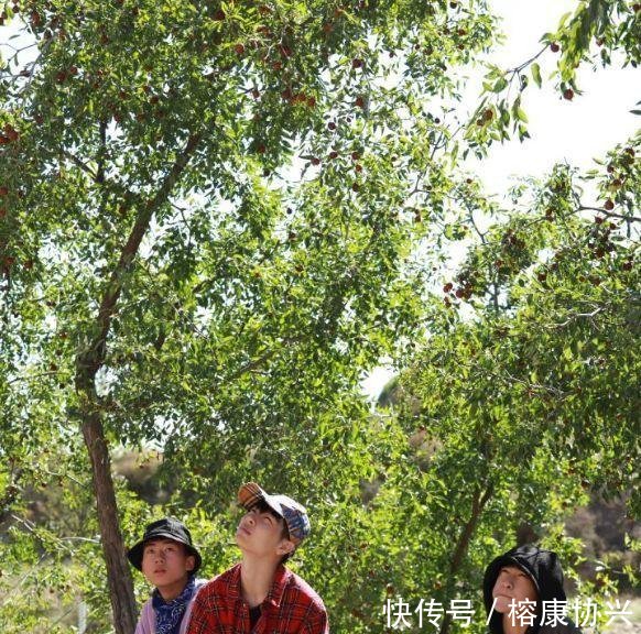 公子哥穿AJ去变形计,当他踩进泥巴网友瞬间不