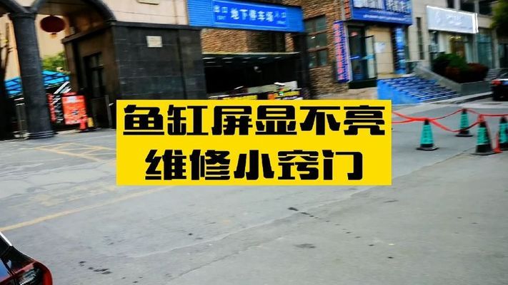 1.5米的鱼缸需要拉筋吗为什么（1.5米的鱼缸需要拉筋吗为什么呢）