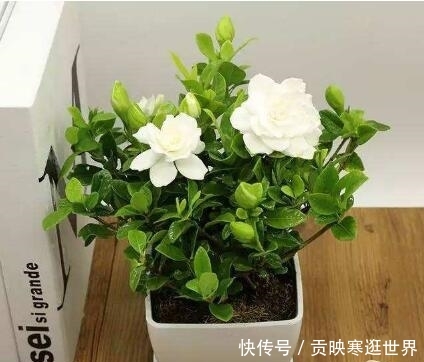 t01f42a33592c1967bd.jpg
