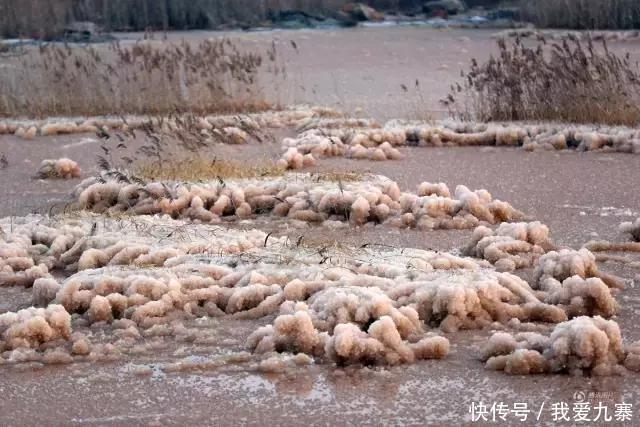 又一次美出新高度——中国死海-运城盐池
