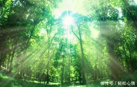 做 人 , 少 玩 心 眼!