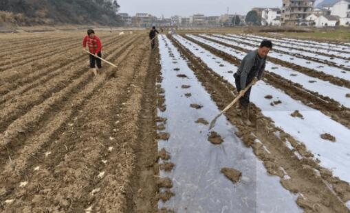 2018土地补贴新规, 让你种地每年都有钱拿