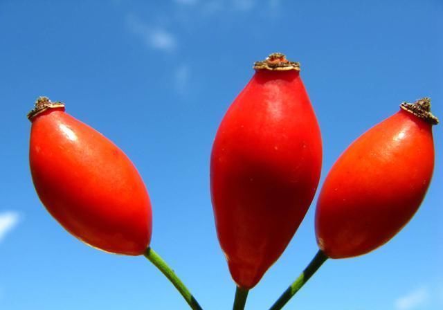 面试成绩查询与面试分数计算?2019年教师资格