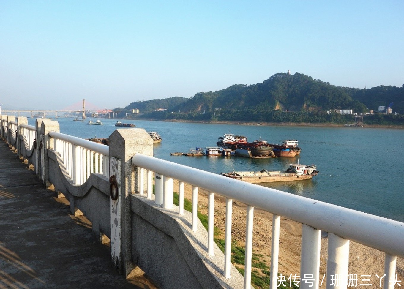 不在广东在广西，这个城市是岭南文化和粤语的发源地，又称小香港