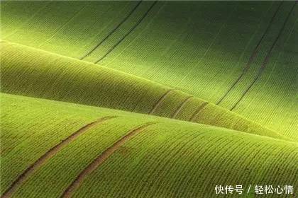 做人淡而久香,不争,不俗