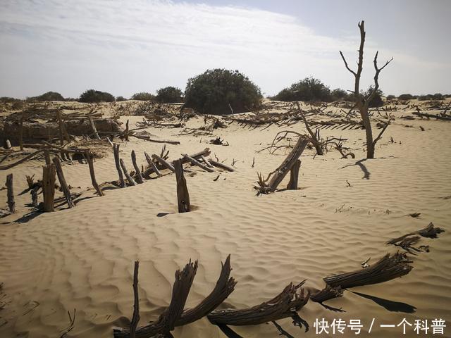 葬于风沙的“阿其克考其克”古城，沙漠腹地中的千年文明