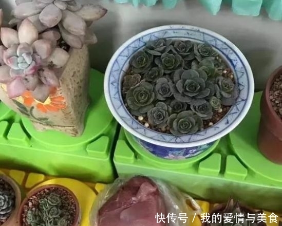 幼儿园场地要求