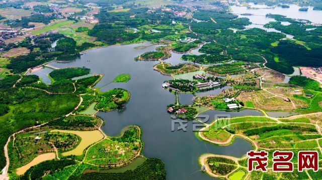 高州镇江着力打造大型生态园