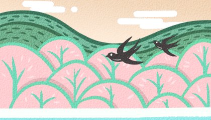 春分的特点和风俗 t01fd226c6ff0de2d53.jpg