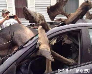 男子豪车停在家门口,突然听到一声巨响,出门一看让男子傻眼