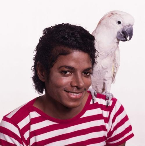 迈克尔杰克逊怎么变白的?_360问答