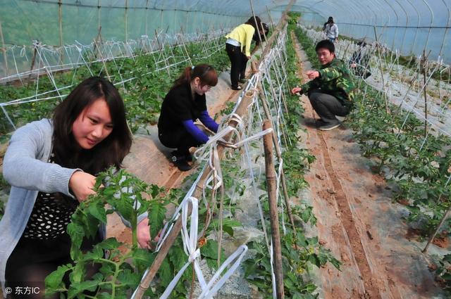 农村创业的人为什么那么少 真的是贫穷限制了想象吗?