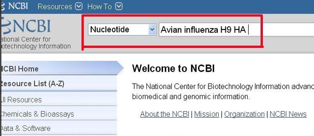 怎样使用NCBI搜索并下载基因序列