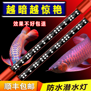 云陽龍缸清水是什么族，宜昌有名的觀賞魚 養(yǎng)魚的好處