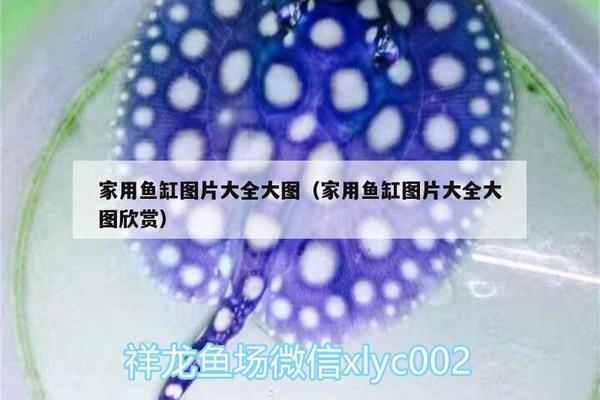 1.2米魚缸多長時間換一次水好（1.2米魚缸多長時間換一次水好呢）