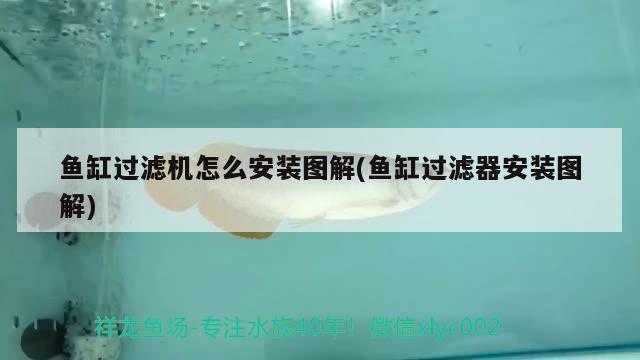 金昌水族館土豪玩物