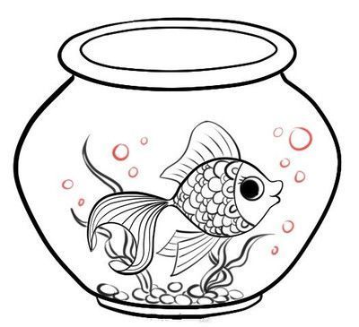 魚缸造景膠水用什么能洗掉干凈 水族問答