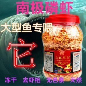 龙鱼蓝底还是金底好养 水族问答