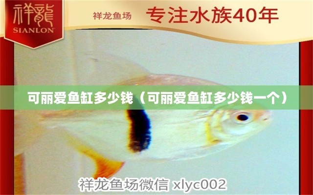 贛州魚缸訂做店電話（贛州魚缸訂做店電話號碼） 祥龍魚場