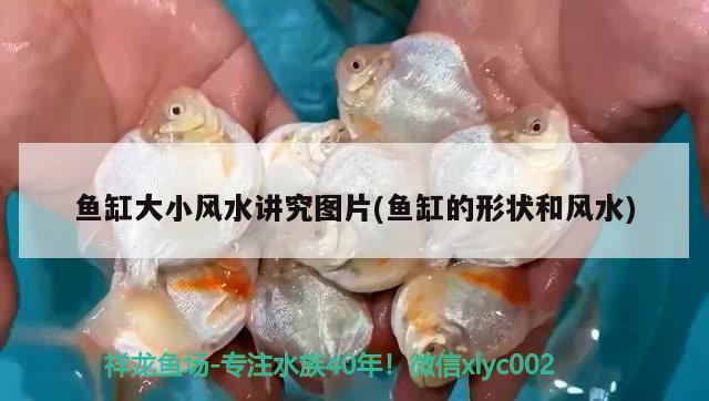 濱州哪里賣魚缸便宜實惠的（濱州哪里賣魚缸便宜實惠的魚）