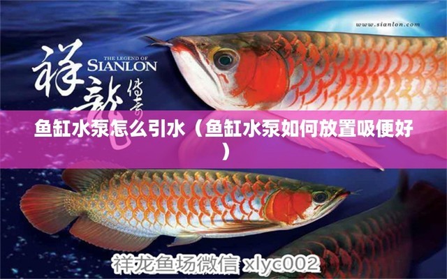 魚缸水如何自動循環(huán)使用（魚缸水如何自動循環(huán)使用視頻）