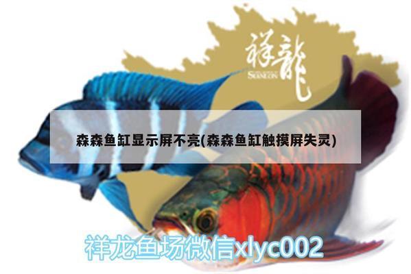 南宁市广龙鱼餐馆地址在哪里 水族问答