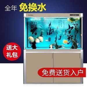 世界第一大觀賞魚品種（世界第一大觀賞魚品種是什么）