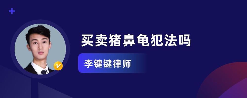 豬鼻龜讓賣嗎：豬鼻龜的養(yǎng)殖與市場 豬鼻龜百科 第1張