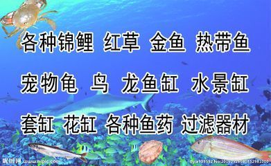 大魚缸品牌排行榜及價格 水族問答