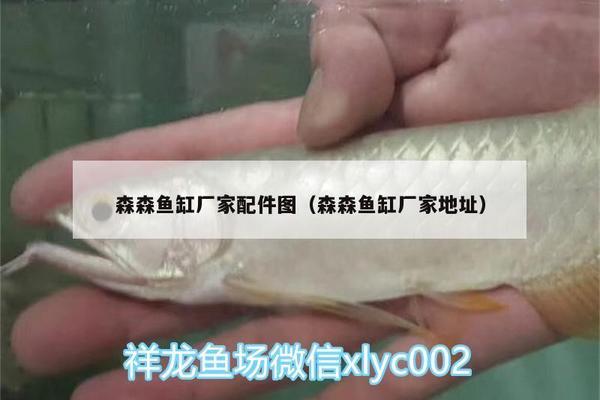 魚缸下水口在哪個(gè)位置（魚缸下水口在哪個(gè)位置好）