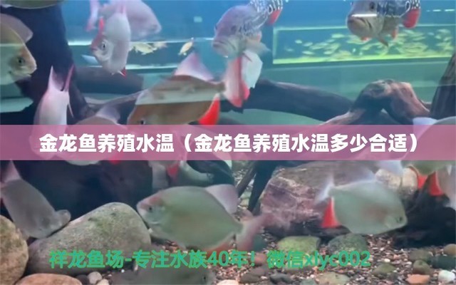 咸陽魚缸批發(fā)市場地址電話多少號(hào)（咸陽魚缸批發(fā)市場地址電話多少號(hào)碼）