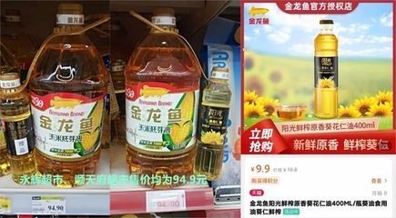 小型鱼缸如何造景图片欣赏（小型鱼缸如何造景图片欣赏）