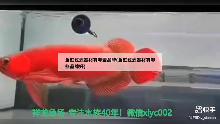 魚缸抽水泵要24小時開嗎