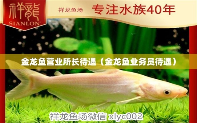 錦州市魚歡觀賞魚養(yǎng)殖有限公司（錦州市魚歡觀賞魚養(yǎng)殖有限公司電話）