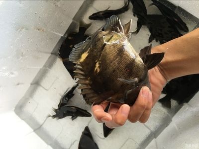 辽源市龙山区我爱我家花卉水族馆（辽源市龙山区我爱我家花卉水族馆电话）