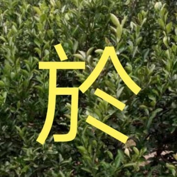 鋼結(jié)構(gòu)圖紙?jiān)O(shè)計(jì)說明（鋼結(jié)構(gòu)圖紙?jiān)O(shè)計(jì)的流程詳解，）