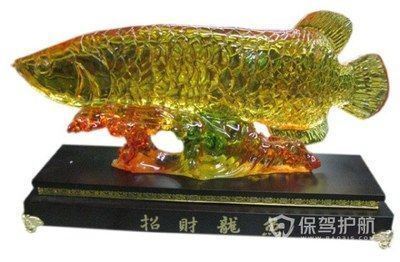 廣州市龍魚三大商家排名第幾名(廣州最大龍魚市場) 稀有紅龍品種