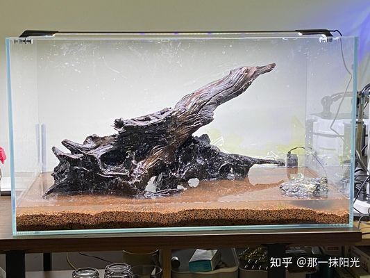 黑龍江大發(fā)國際貿(mào)易有限公司孫麗水族館（黑龍江大發(fā)國際集團(tuán)） 全國水族館企業(yè)名錄