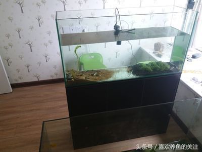 襄樊彩鰈魚缸售后維護(hù)