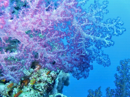 城陽區(qū)好愛魚水族用品行（青島好漁家會所）