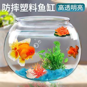 龍魚虎魚魚缸里擺放什么東西最好（龍魚虎魚魚缸里擺放什么東西最好呢） 虎魚百科