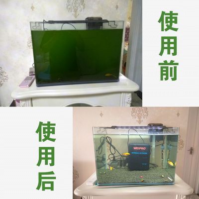 二氧化碳魚缸擺放位置 水族問答